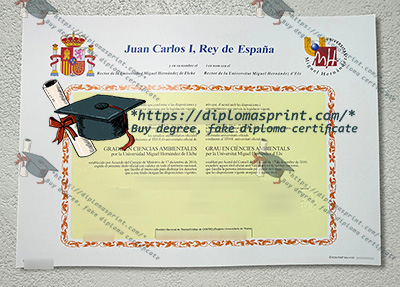 Miguel Hernandez University Diploma
