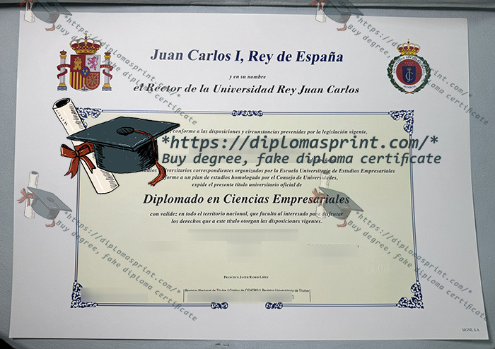 Universidad Rey Juan Carlos Diploma, URJC Diploma