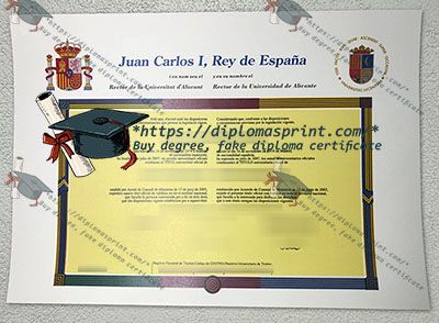 Universidad de Alicante Diploma