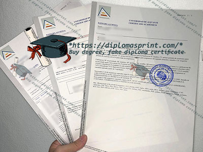 University of Alicante Transcript