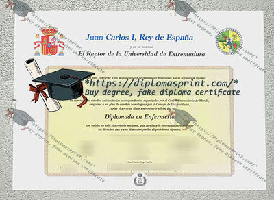 University of Extremadura Diploma