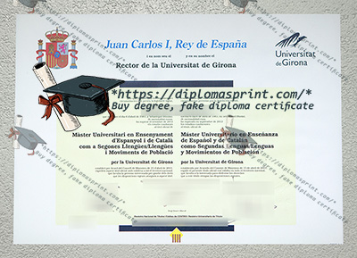 University of Girona Diploma