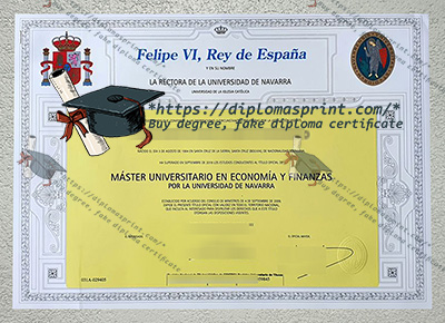 Universidad de Navarra Diploma