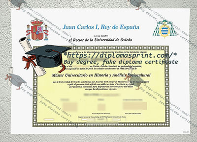 Universidad de Oviedo Diploma