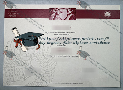 Università Ca' Foscari di Venezia Diploma