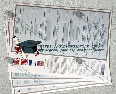Universitat de Barcelona Transcript