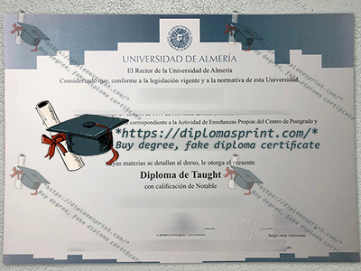 University of Almería Diploma