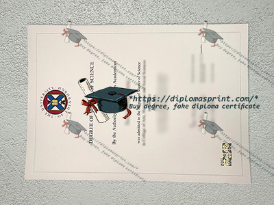 University of Edinburgh Degree