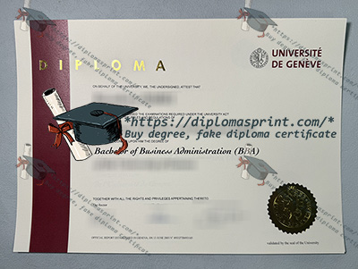 University of Geneva Diploma