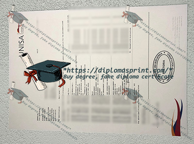 UNISA Transcript