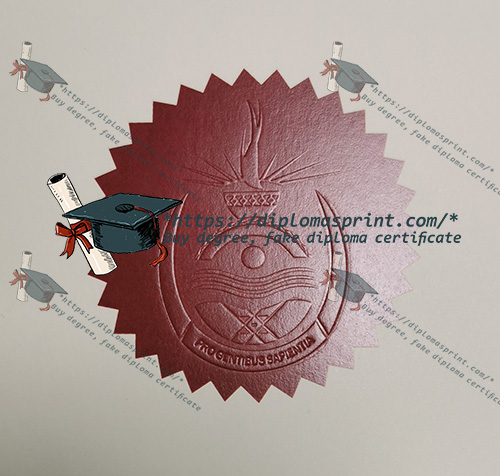 UNISA Diploma Seal UNISA Diploma Seal