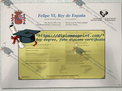 University of the Basque Country Diploma