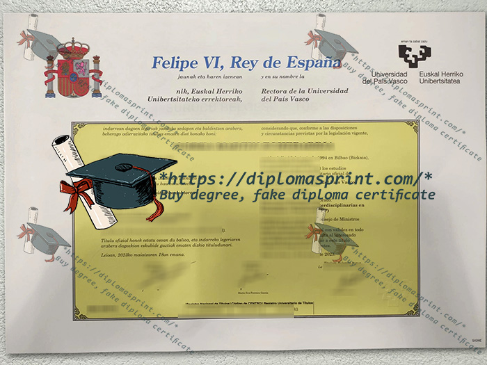 University of the Basque Country Diploma