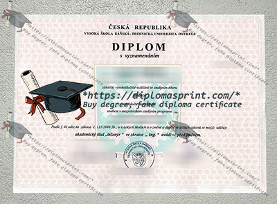 VSB–TUO Diploma