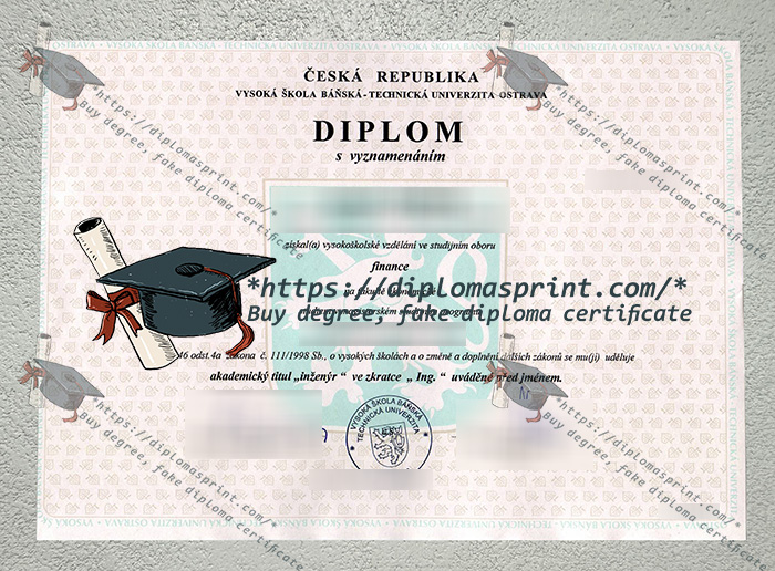 VSB–TUO Diploma VSB–TUO Diploma