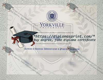 Yorkville University Diploma