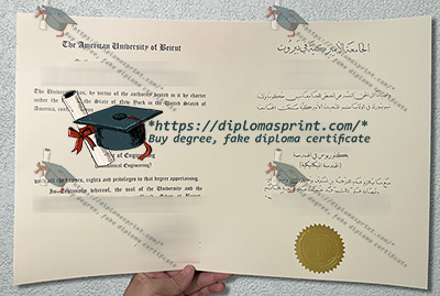 American University of Beirut Diploma