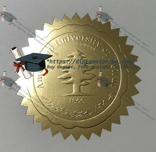 American University of Beirut Diploma seal