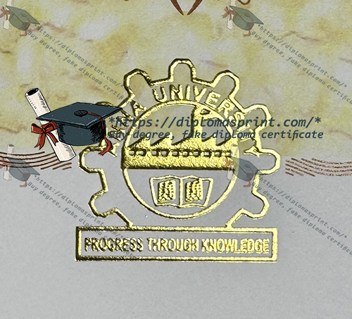 Anna University Diploma seal