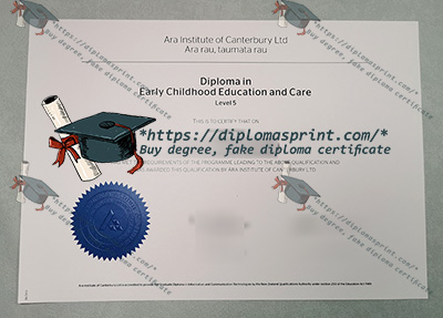 Ara Institute of Canterbury Diploma