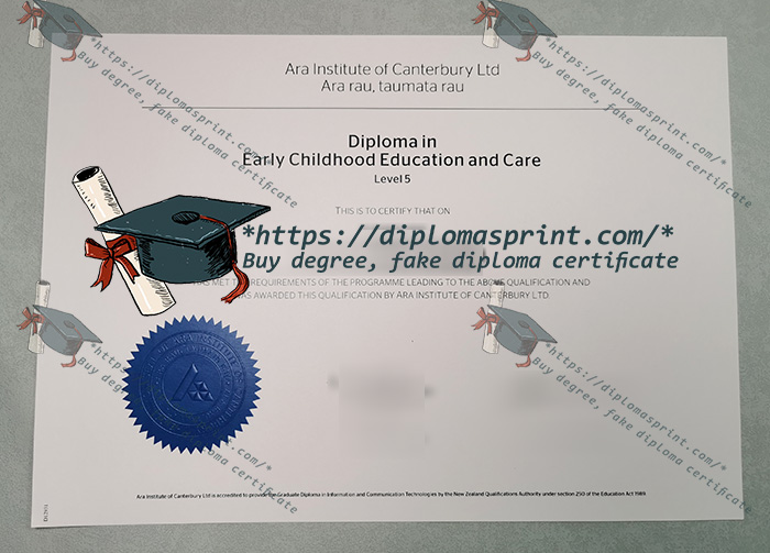 Ara Institute of Canterbury Diploma Ara Institute of Canterbury Diploma