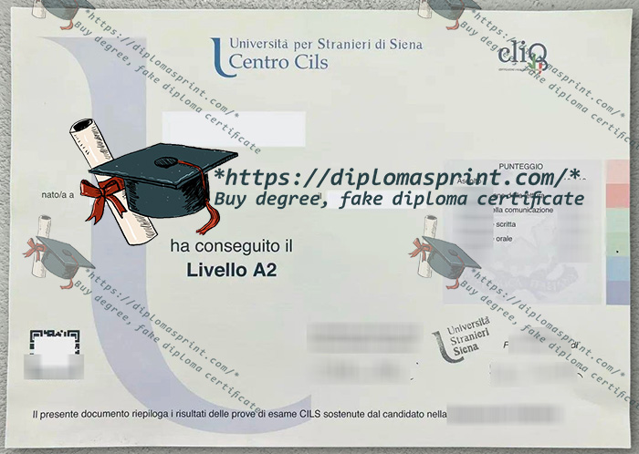 CILS Certificate