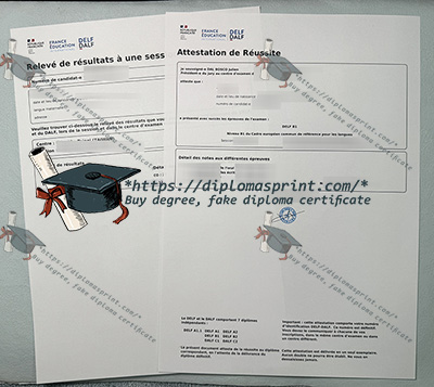 DELF B1 Attestation de réussite