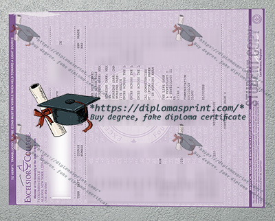 Excelsior University Transcript