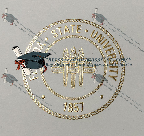 FSU Diploma Seal