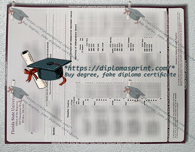 Florida State University Transcript