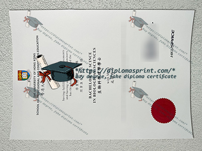 HKU Space Diploma