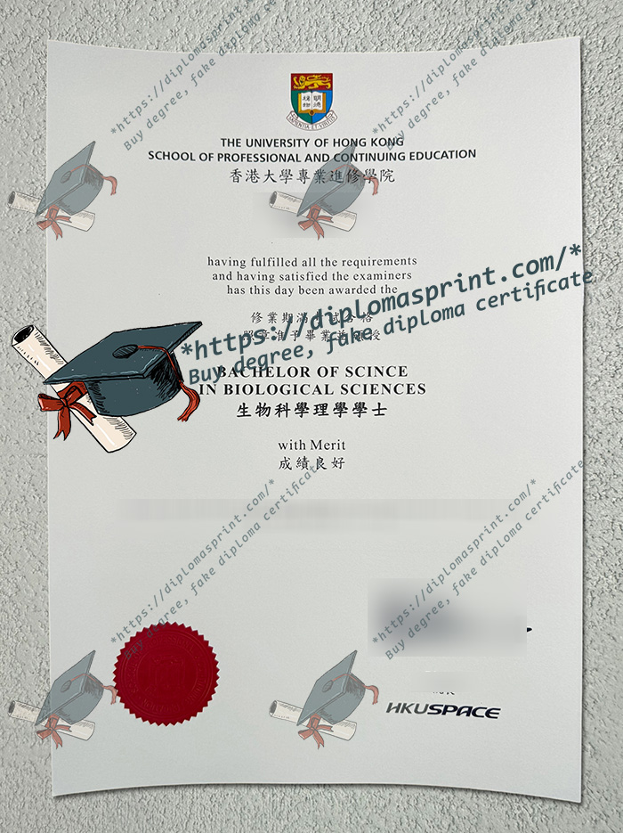 HKU Space Diploma HKU Space Diploma