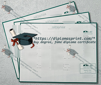 LAU Transcript