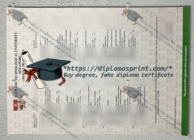 NTU Transcript