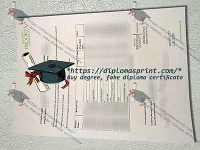 Oxford Brookes University Transcript