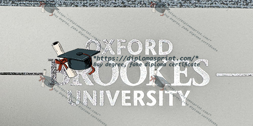OBU Degree
