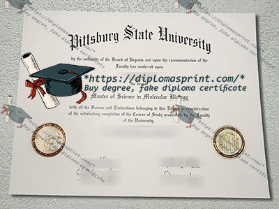 PSU Diploma