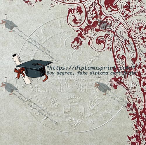Politecnico di Torino Diploma Seal