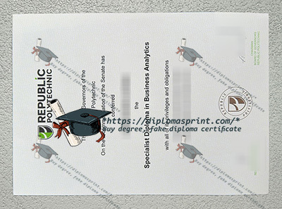 Republic Polytechnic Diploma