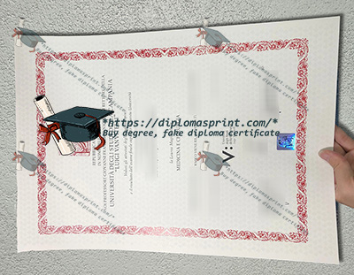 Università degli Studi della Campania Luigi Vanvitelli Diploma