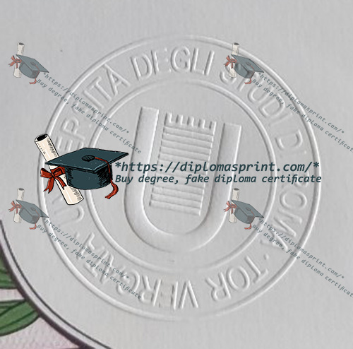 University of Rome Tor Vergata Diploma Seal
