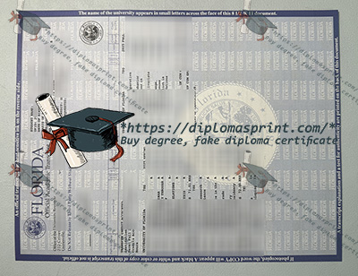 University of Florida Transcript