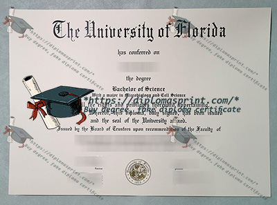 University of Florida Diploma