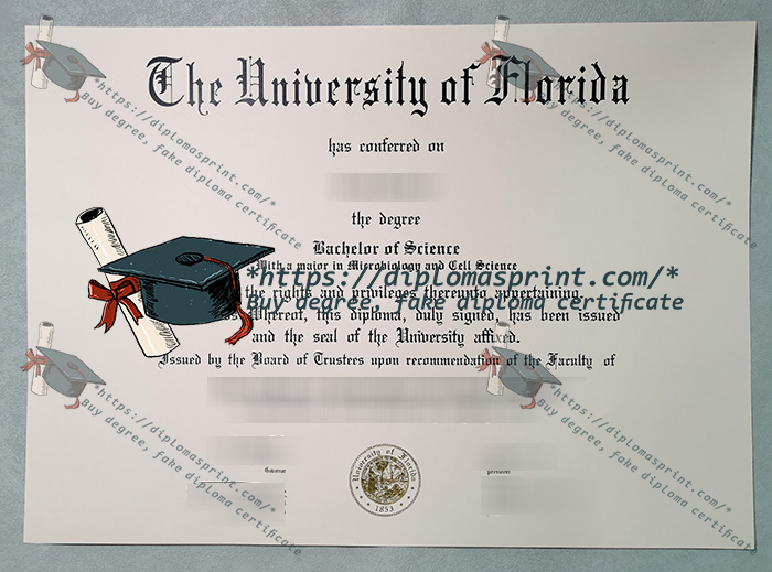 University of Florida Diploma, Florida Diploma University of Florida Diploma, Florida Diploma