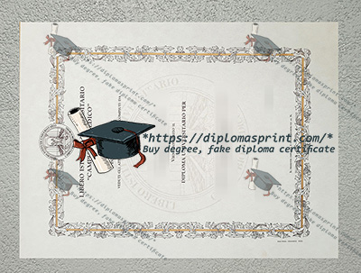 Libero istituto Universitario Carlo Cattaneo Diploma