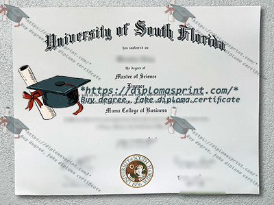 University of South Florida Diploma