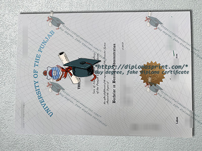 University of the Punjab Diploma