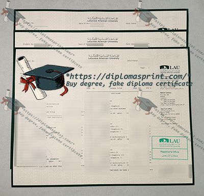 Lebanese International University Transcript