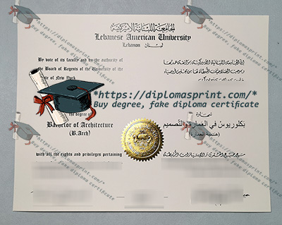 LIU Diploma