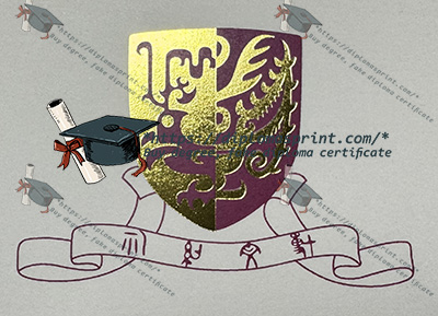 CUHK Diploma CUHK Diploma